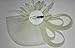 Coolr Women's Fascinators Hat Small Hairpin Feather Mesh Flower Hairclip (Beige)