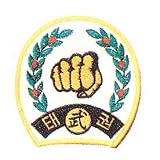 Taekwondo Patch