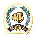 Taekwondo Patch