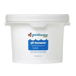 In The Swim Pool pH Increaser 25 lb. Pail