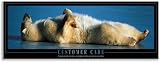 Stewart Superior Motivational Picture in Black Ash Frame W830xH330mm Customer Care Ref FGA124