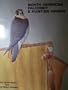 North American Falconry & Hunting Hawks