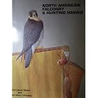 North American Falconry and Hunting Hawks by  Frank Lyman Beebe & Harold Melvin Webster