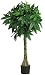 Nearly Natural 5249 51 Inch Money Silk Tree