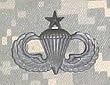 Parachutist Senior - Metal Insignia - Black - Full Size