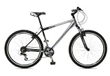 Review Raleigh  / Freeride At20 Mens 17/26