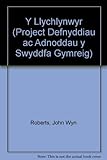 Y Llychlynwyr