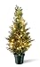 National Tree Arborvitae Tree with 35 Clear Lights and Dark Green Round Plastic Pot, 24-Inch