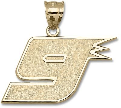 Denver Nuggets Logo Giant 14K Charm/Pendant