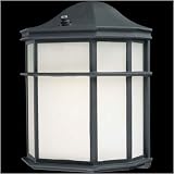 ENERGY STAR® Black Outdoor Wall Light