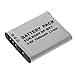 High Capacity NP-BK1 Replacement Lithium-Ion Battery for Sony Cybershot DSC-S980 / DSC-S980/P / DSC-S980/B
