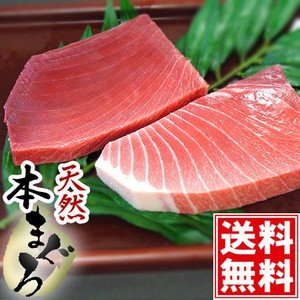 天然本マグロ赤身・中トロセット（今だけおろしわさび付）【父の日ギフト・プレゼント】