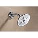 Brizo RP40593PN Delta Tub and Shower Faucets and Accessories, Polished Nickel