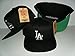 Los Angeles Dodgers BLACK Snapback Hat Authentic Cap American Needle MLB