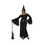 Women Plus Size Elegant Witch Costume (Broom not included) - Wow includes hat too!