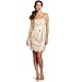 Adrianna Papell Womens Strapless Lace Dress