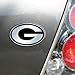 FANMATS 60269 NFL - Green Bay Packers Molded Chrome Emblem | Chrome | 3.25” x 3.25 | Oval G Primary Logo