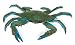 Safari Incredible Creatures: Blue Crab