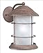 Thomas Lighting Hudson Bay 1 Light Outdoor Wall Mount in Tile Bronze - PL9288-81