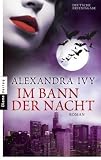 Im Bann der Nacht: Roman