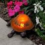 Solar Turtle Light