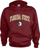 Florida State Seminoles Kids/Youth Perennial Hooded Sweatshirt