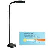 Lite Source LSP-801BLK Aptos Floor Lamp