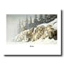 Wolf Howling Snow On Bluff Animal Wildlife Cabin Picture Art Print