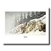 Wolf Howling Snow On Bluff Animal Wildlife Cabin Picture Art Print