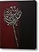 Curly Flower Canvas Print / Canvas Art - Artist Marsha Heiken