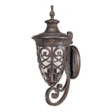 Nuvo Lighting Aston Large Outdoor Wall Mount