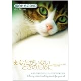 ネコのためのDVD/あなたがいないときのために あなたの猫のためのリラックスする映像と音楽