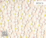 �l�C���V�[�� �f�R�l�C�� N-61 �O�����h�t�����[(W)�̉��i��r