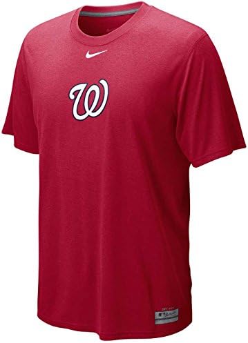 Nike Men's Washington Nationals Dri-FIT Logo Legend T-Shirt