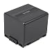 Akku f�r CGA-DU12 / CGA-DU14 / DZ-BP14S / VW-VBD140 - geeignet f�r folgende Kameras: Panasonic NV- Serie / VDR- Serie / Hitachi DZ- Serie u. a.