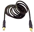 CALBE USB A-B GLD 6'
