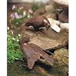 Bronzed Dove Statuary - Pair