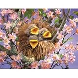 Buy Birds in Nest Puppet by Folkmanis by Folkmanis
