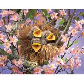Childrens Toyshop  Toys : Birds in Nest Puppet by Folkmanis