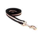 Large Reflective Black Dog Leash - Nylon Webbing