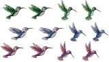Refrigerator Fridge Magnet Collection Hummingbird Set Of 12 Decoration