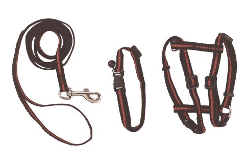 Set aus Halsband, Geschirr und Leine f. Katzen, reflektierend