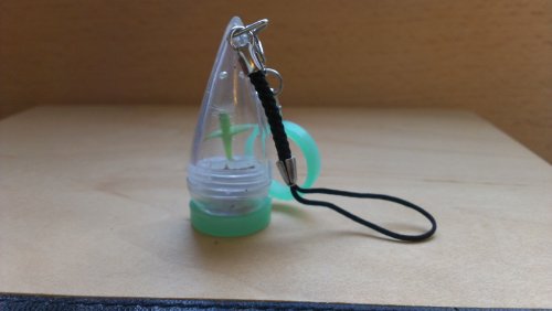 DIY Growing Pet Plant Seed Bonsai Phone Strap Charm Dangle DIY Growing Pet Plant Seed Bonsai Phone Strap Charm Dangle