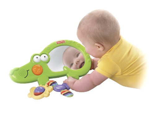 Mattel T7164 - Fisher-Price Baby-Zoo Entdecker Spiegel Preisvergleich