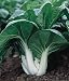 Bok Choy Pak Choi Chinese Cabbage 999 + Seeds
