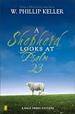 Shepherd Looks at Psalm 23, A