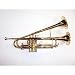 ♪日本初上陸Axis！★カスタムビルド！ダブルベルトランペットLQ★