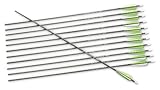 12-Pk. Trophy Hunter Carbon Arrows