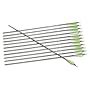 12-Pk. Trophy Hunter Carbon Arrows