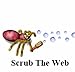 Search Engine Optimization- Scrub The Web (Search Engine Optimization)